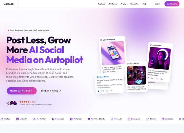 AI Social Media Niche Demo